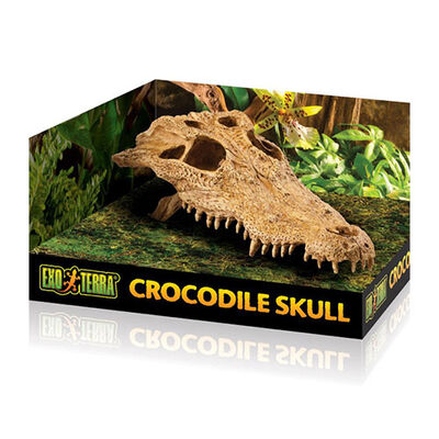 Exo Terra Crocodile Skull Hideout Reptile Decor 22x11x8 cm