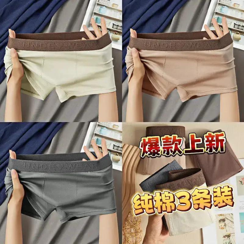 Maillard Cotton Men&