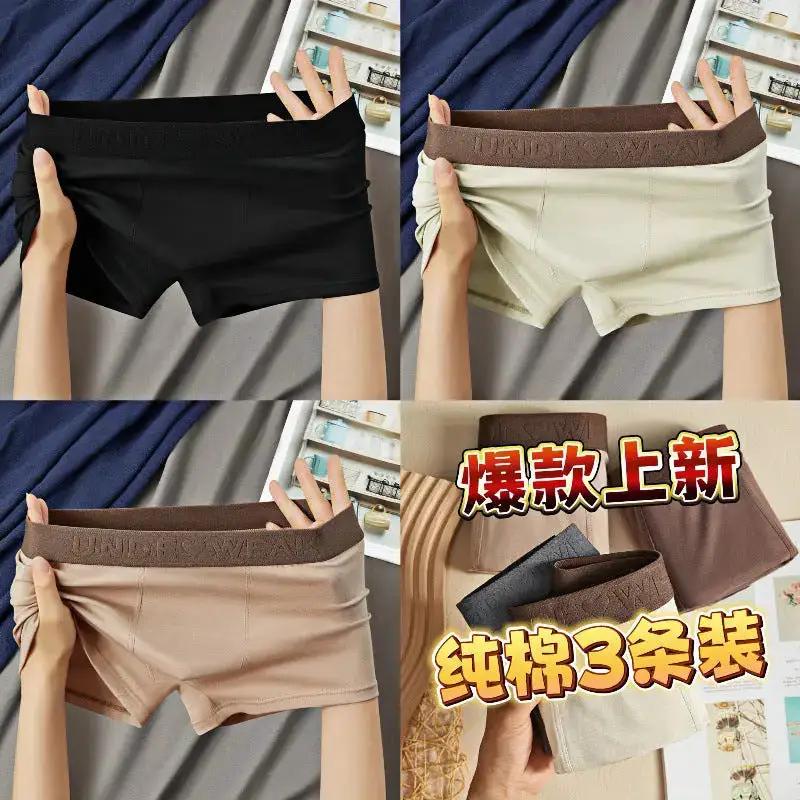 Maillard Cotton Men&
