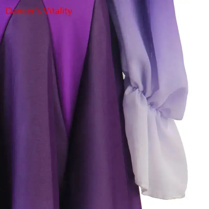 Modern Dance Dress Stand-Up Collar Mesh Sleeve Long Skirt Performance Clothing High-End Custom Child Woman Competition Clothes by Dropshipman