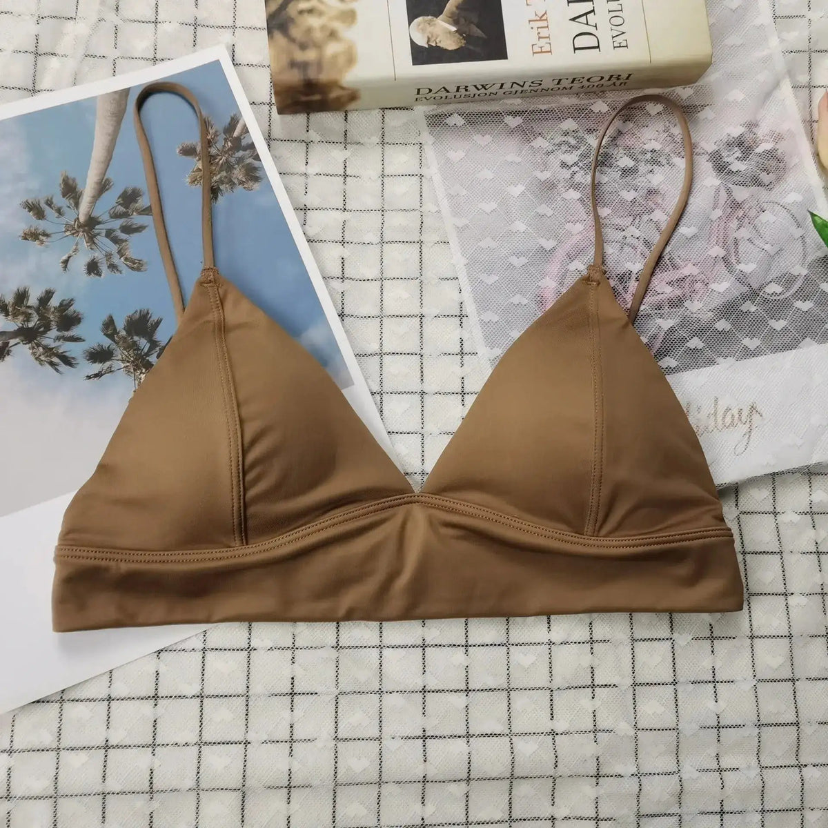 Popular French Sexy Underwear for Women Without Rims, Thin Triangular Cup, Small Breast Push-Up, Glossy Back Bra Wholesale by Dropshipman