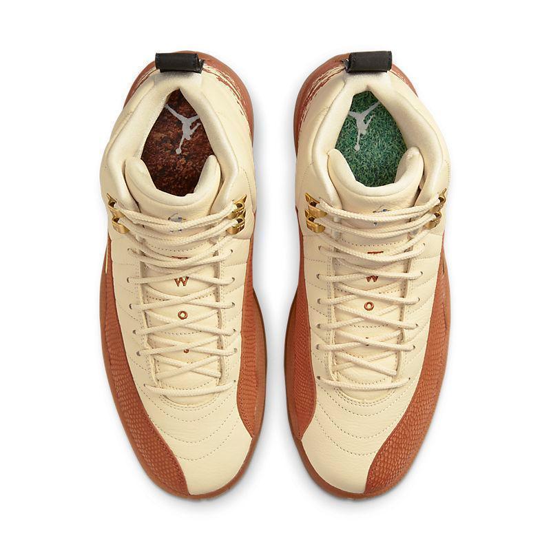 Air Jordan Retro 12 &