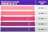 13-Piece Yoga & Pilates Set SHOPEZRA L.L.C.