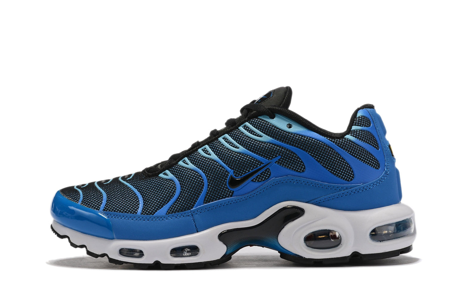Nike Air Max Plus  &