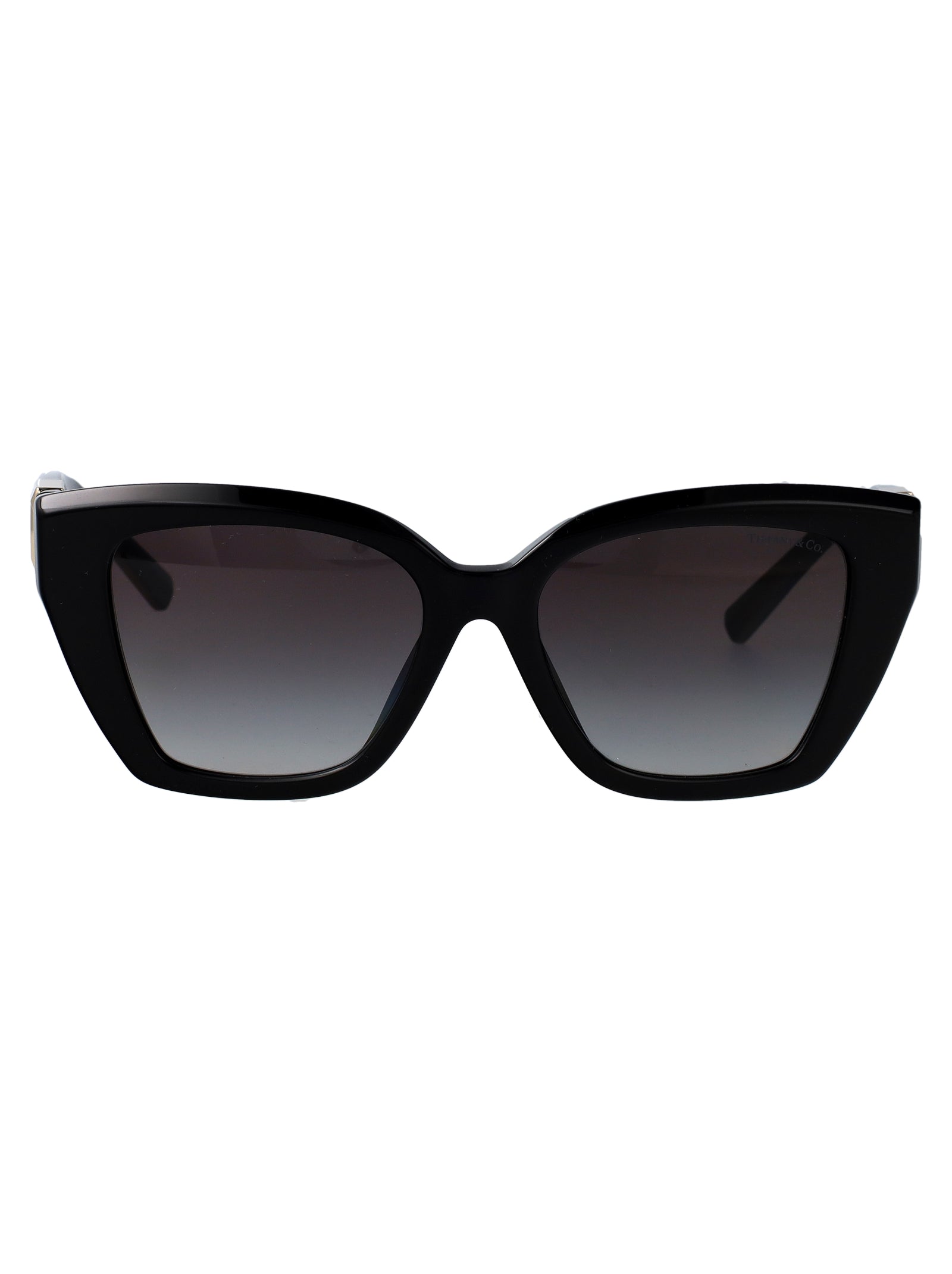 TIFFANY &amp; CO Chic Acetate Sunglasses for Women - FW25 Collection