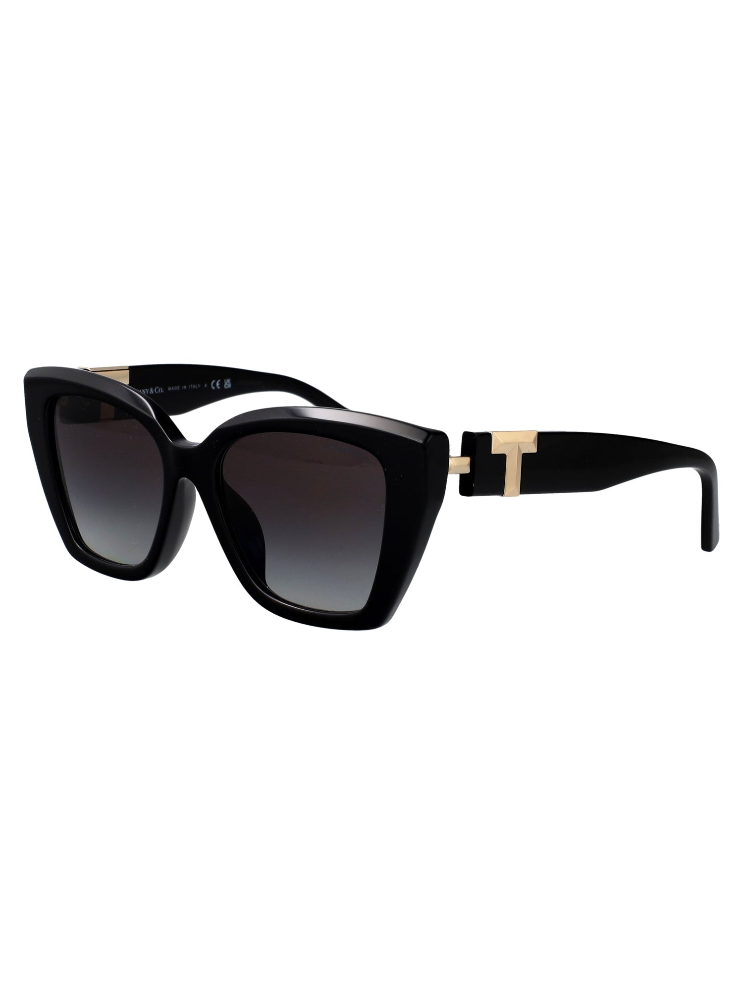 TIFFANY &amp; CO Chic Acetate Sunglasses for Women - FW25 Collection