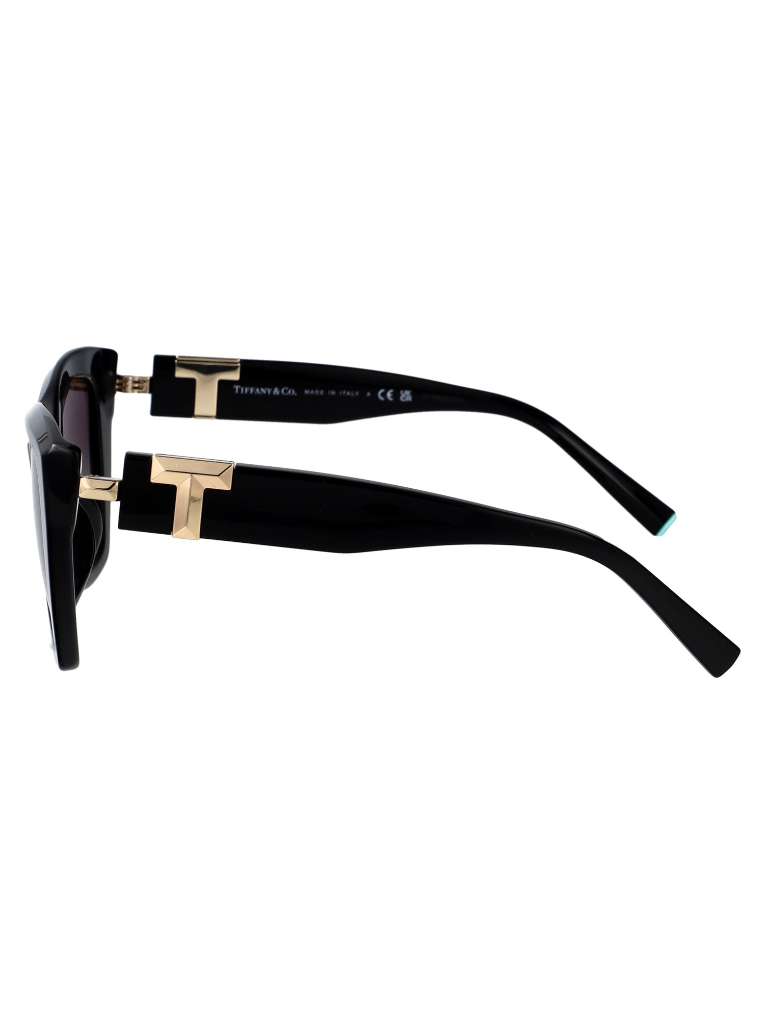 TIFFANY &amp; CO Chic Acetate Sunglasses for Women - FW25 Collection