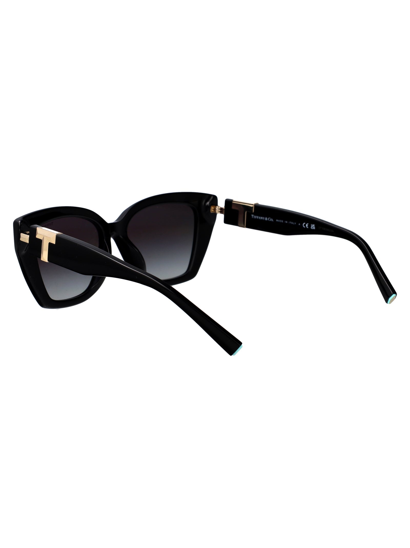 TIFFANY &amp; CO Chic Acetate Sunglasses for Women - FW25 Collection