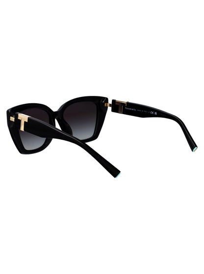 TIFFANY &amp; CO Chic Acetate Sunglasses for Women - FW25 Collection