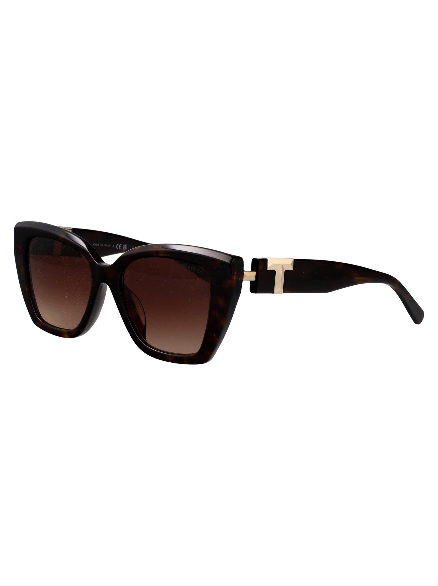 TIFFANY &amp; CO Chic Acetate Sunglasses for Women