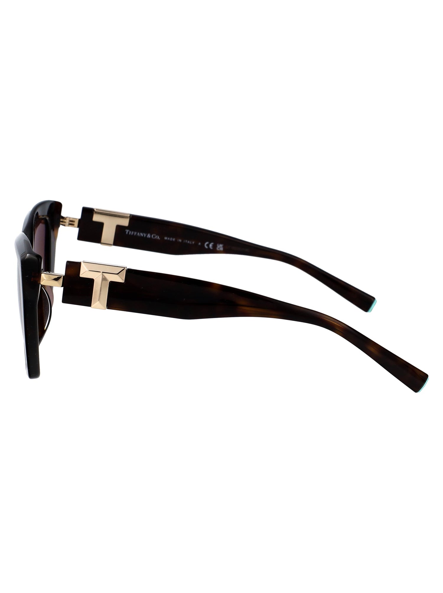 TIFFANY &amp; CO Chic Acetate Sunglasses for Women