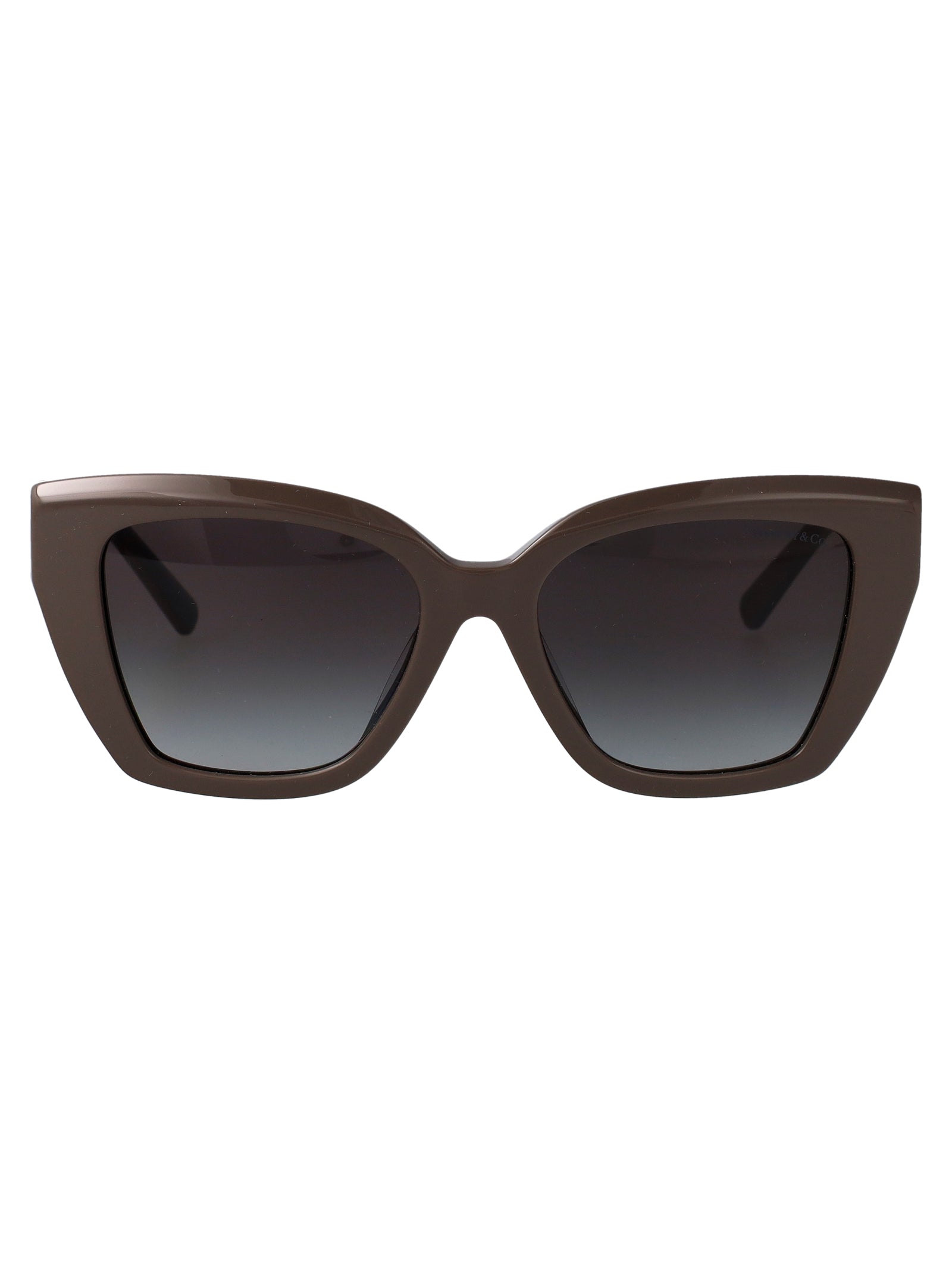 TIFFANY &amp; CO Luxury Acetate Sunglasses for Women