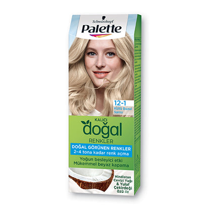 Palette Permanent Natural Hair Color 12-1 Ashy Ice Blonde | 3.4 fl oz