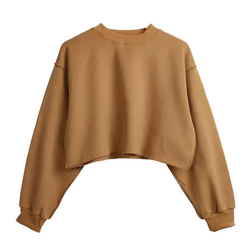 Fleece Lined Long Sleeved Fitness Yoga Wear Top Sports Cropped Short Sweatshirt Women by Wanita Store