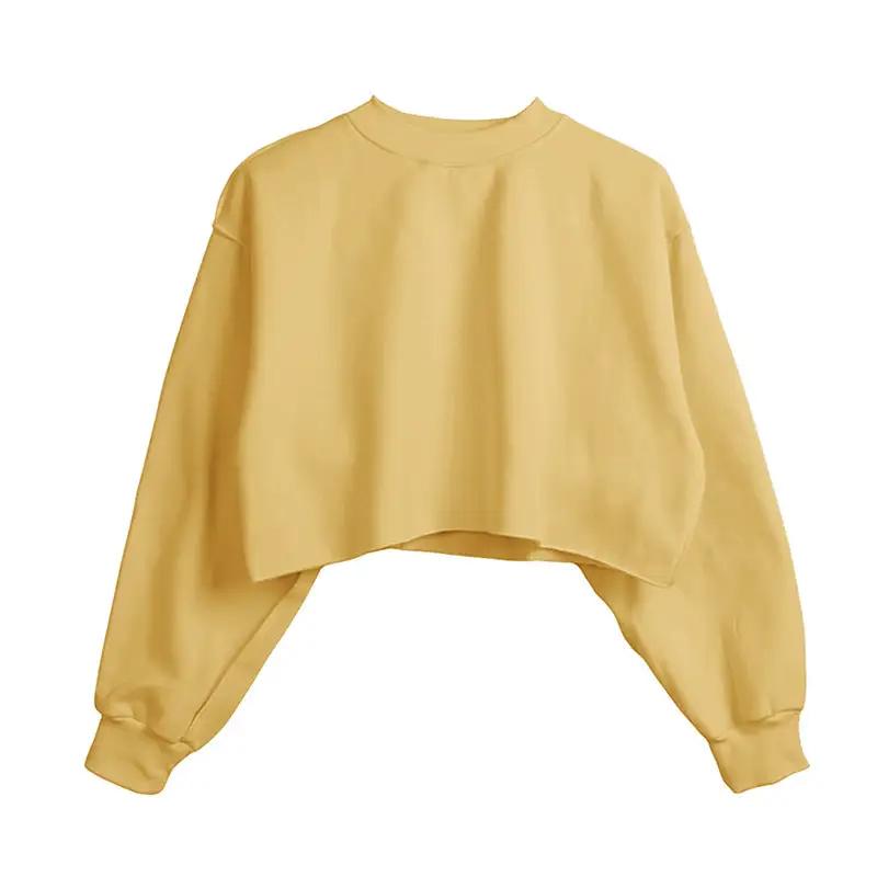 Fleece Lined Long Sleeved Fitness Yoga Wear Top Sports Cropped Short Sweatshirt Women by Wanita Store