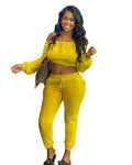 Damenbekleidung Langarm-Sportanzug Einfarbig Elastische Taille Laufanzug Herbst Winter