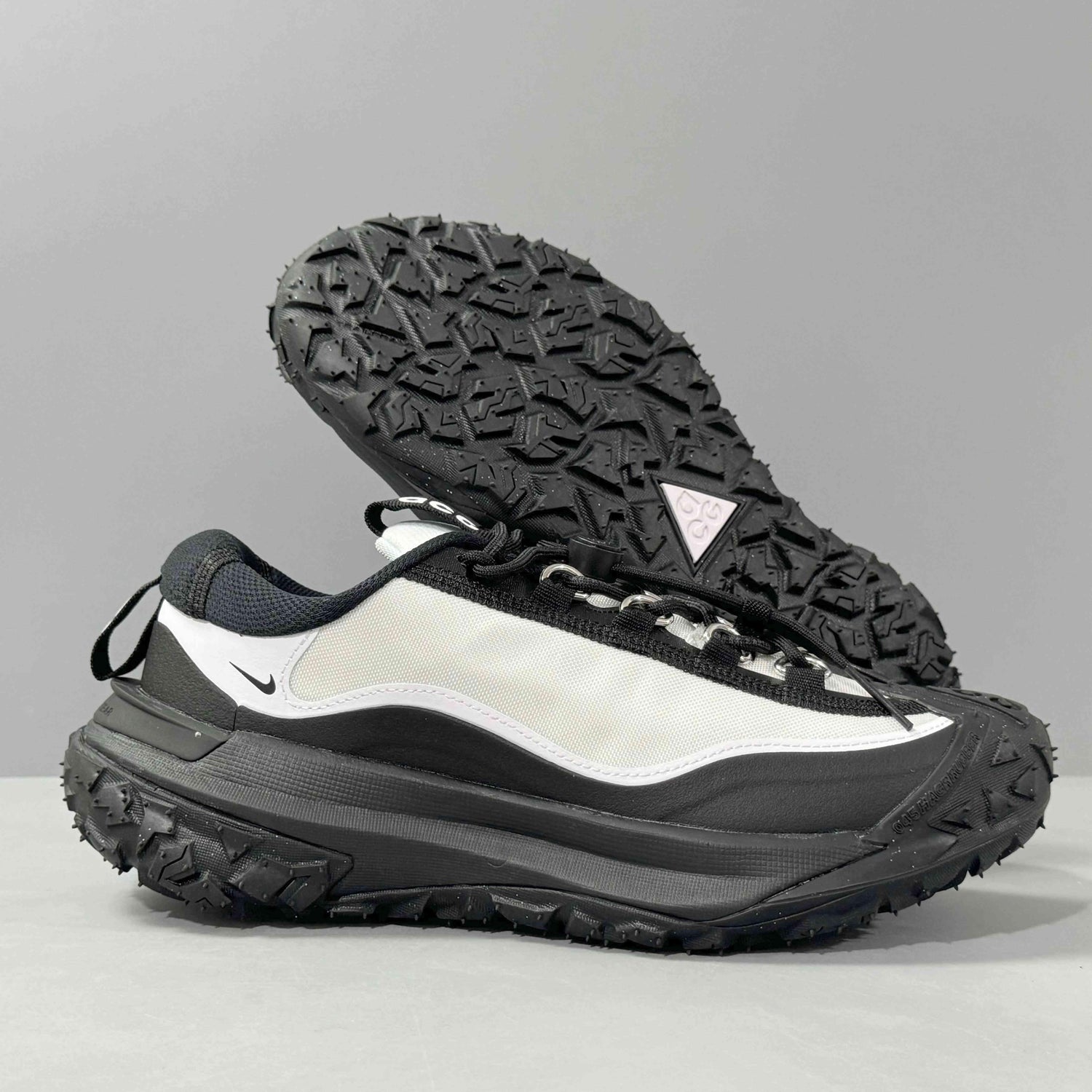 Nike ACG Mountain Fly 2 Low &