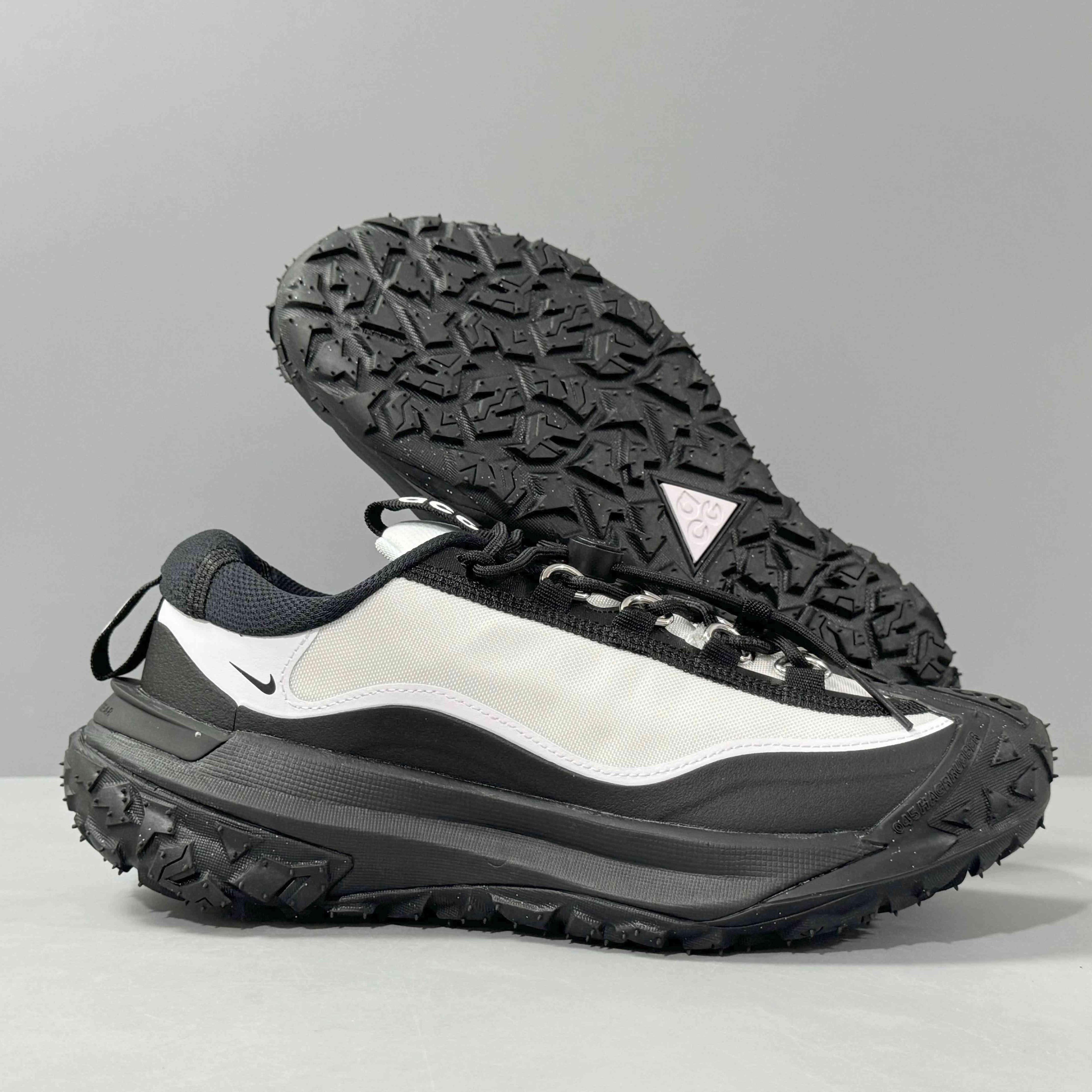 Nike ACG Mountain Fly 2 Low &