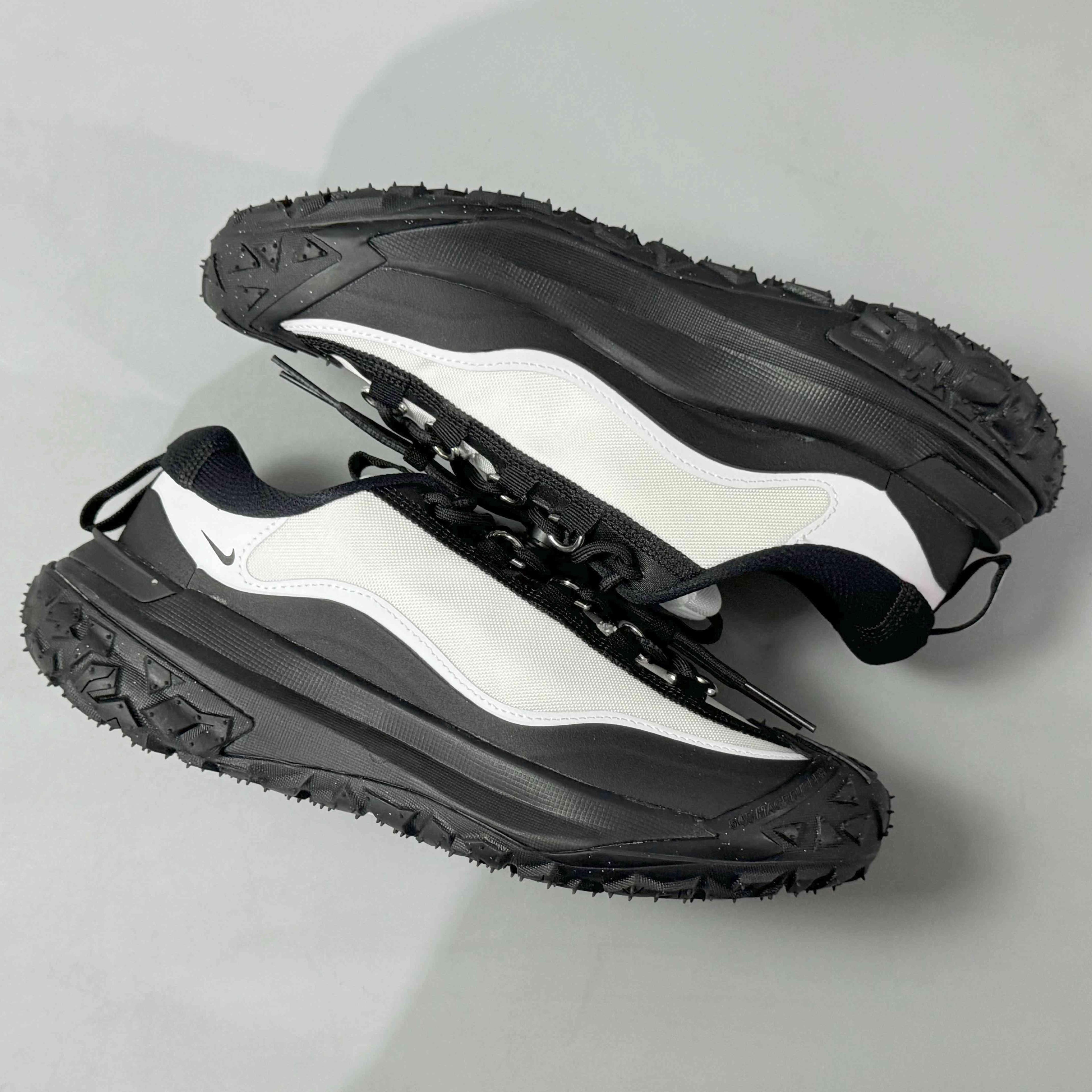 Nike ACG Mountain Fly 2 Low &