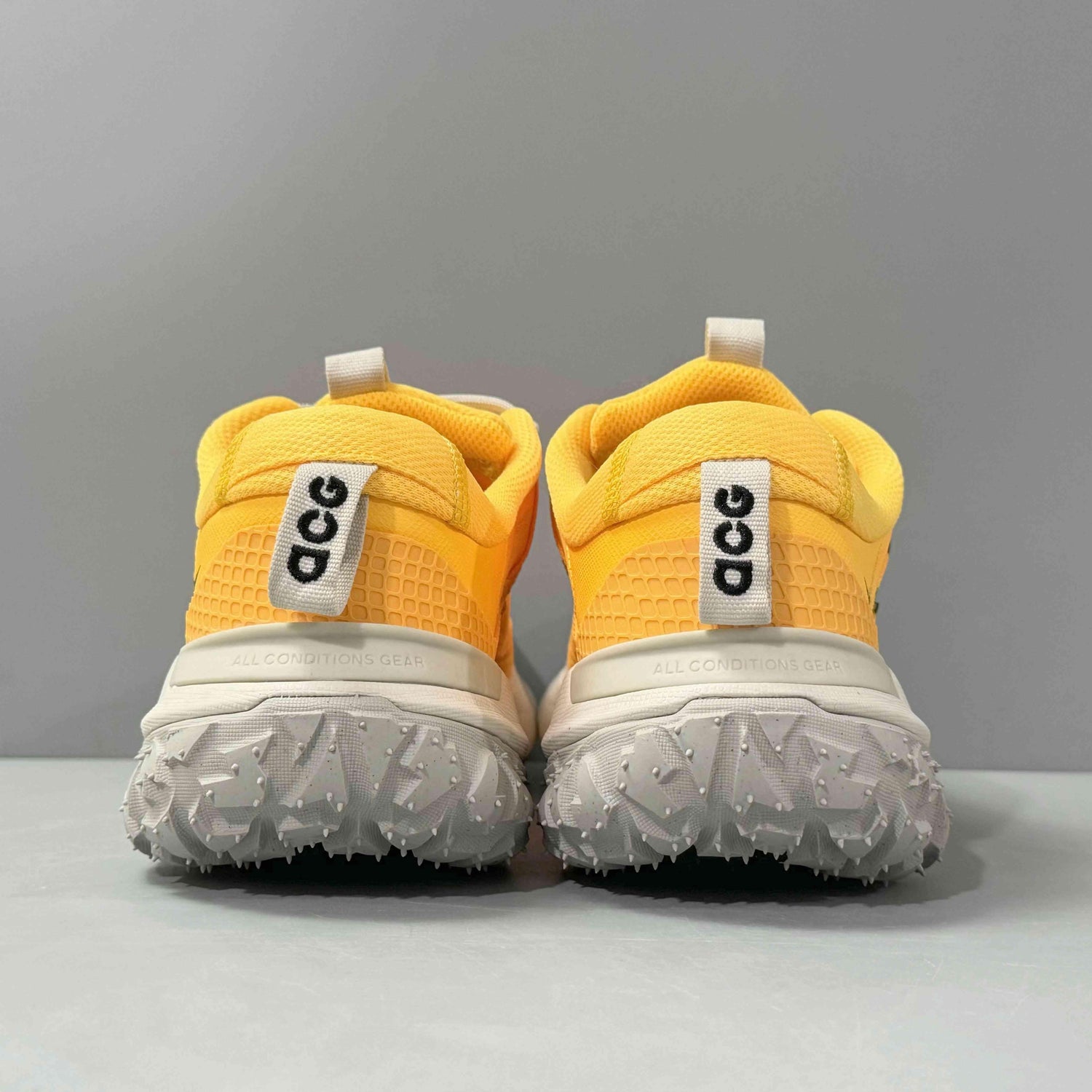 Nike ACG Mountain Fly 2 &