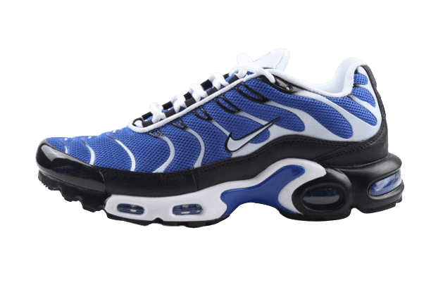 Nike Air Max Plus &