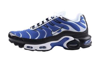 Nike Air Max Plus &