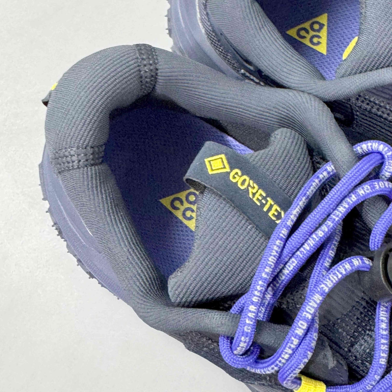 Nike ACG Mountain Fly 2 Low Gore-Tex &