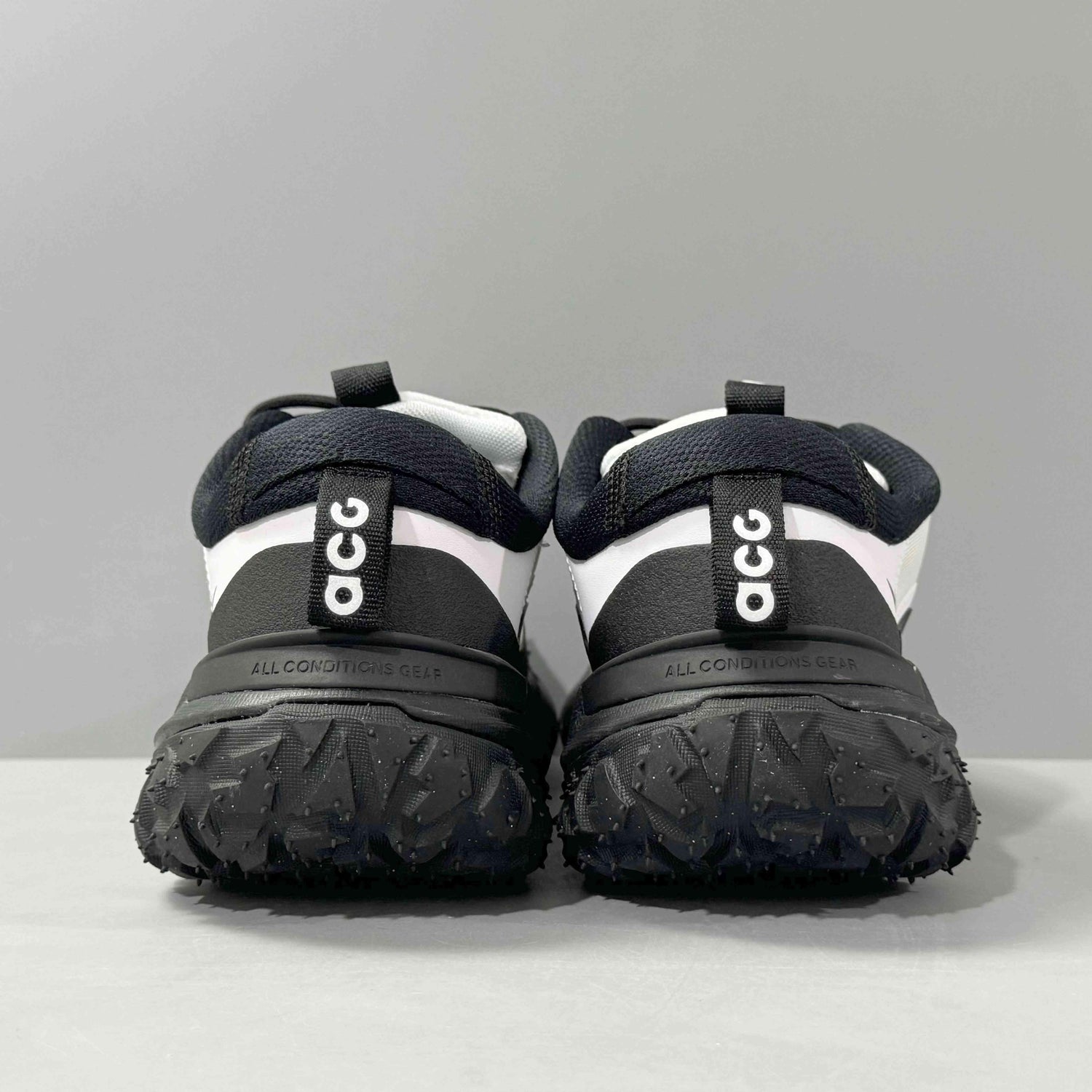 Nike ACG Mountain Fly 2 Low &