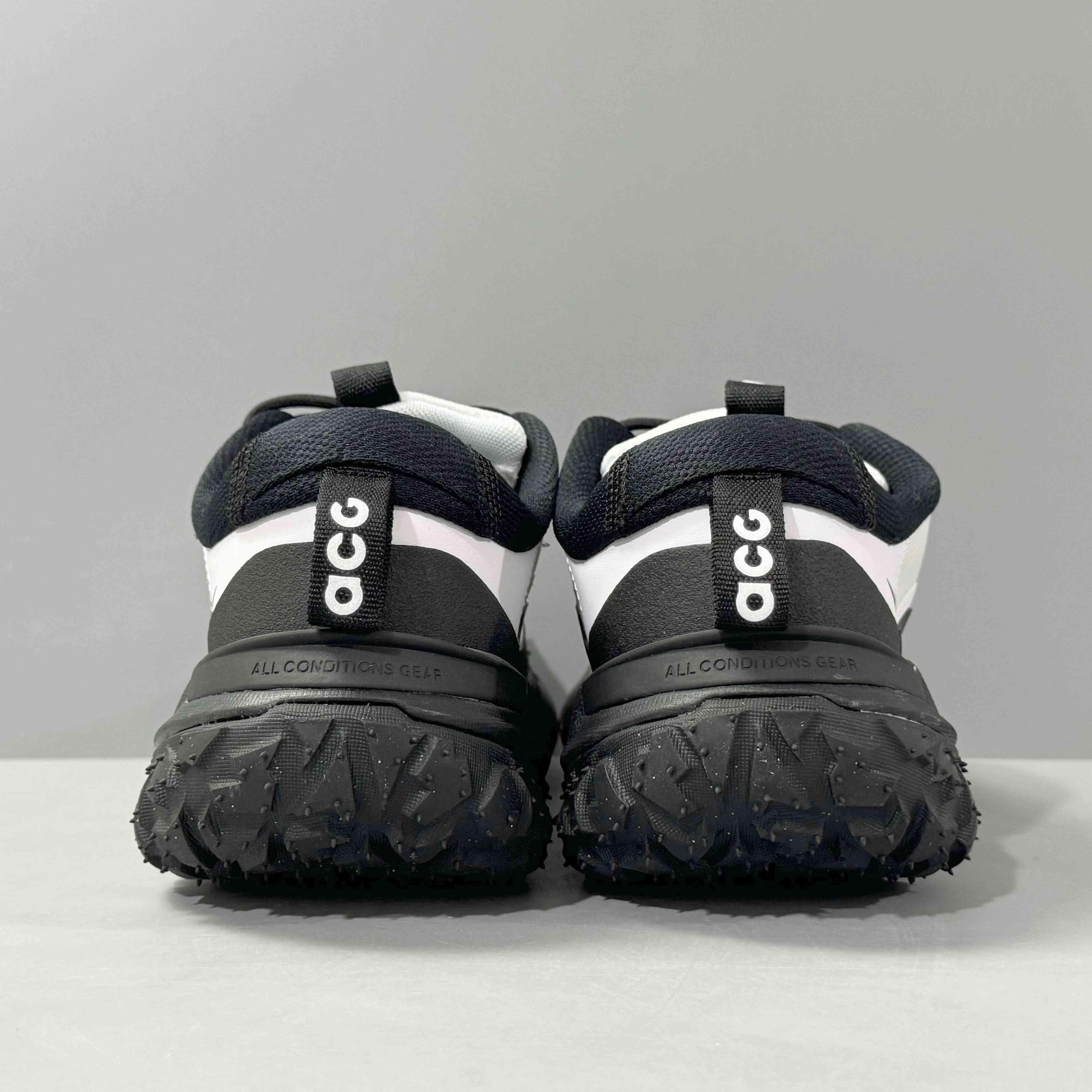 Nike ACG Mountain Fly 2 Low &