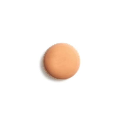 Sisley Soin Teinte Phyto-Hydratant N3 Tinted Moisturizer 40ml