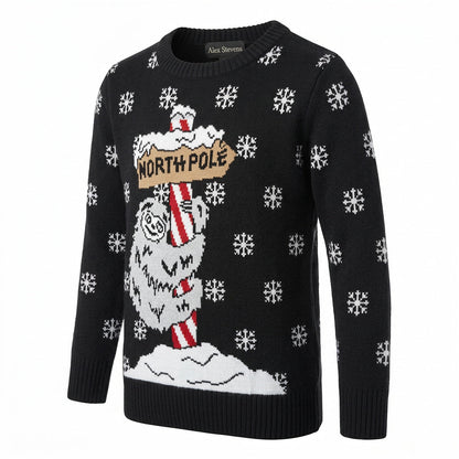 Alex Stevens Little Boys’ Sloth Pole Sweater, Black Combo, Size 4