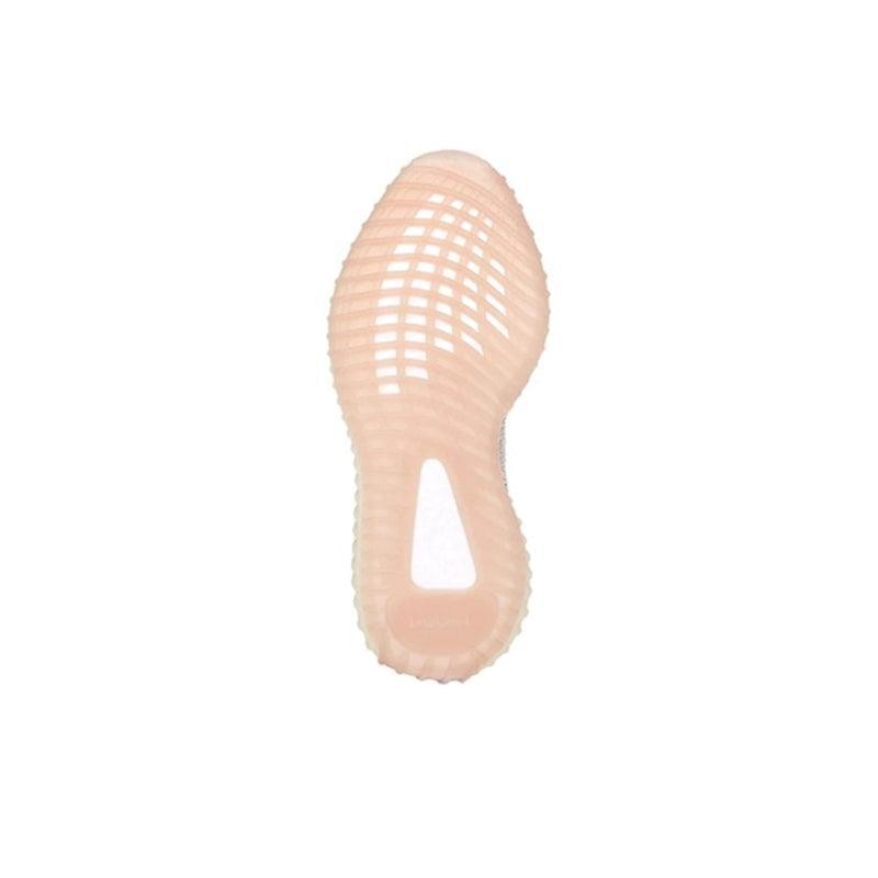 Yeezy Boost 350 V2 &