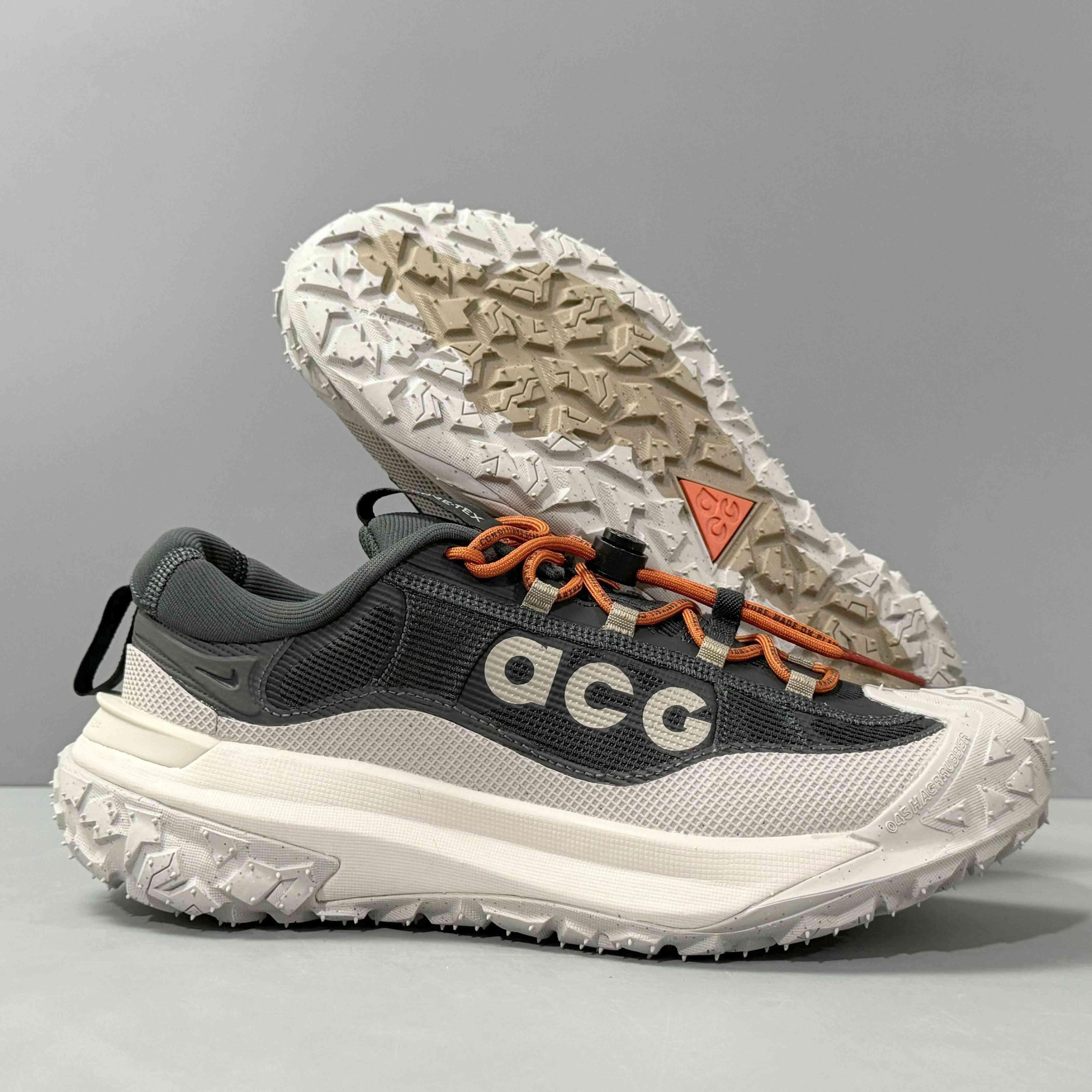 Nike ACG Mountain Fly 2 Low Gore-Tex &