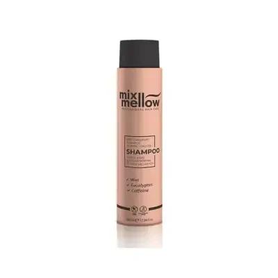 Mix Mellow Anti-Dandruff Shampoo: Natural Mint &amp; Eucalyptus for Oily &amp; Normal Hair - Sulfate &amp; Paraben Free, 380ml