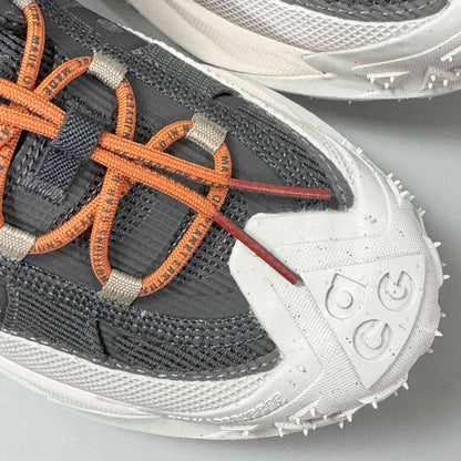 Nike ACG Mountain Fly 2 Low Gore-Tex &