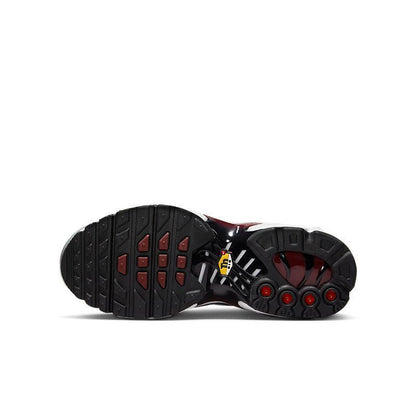 Nike Air Max Plus &