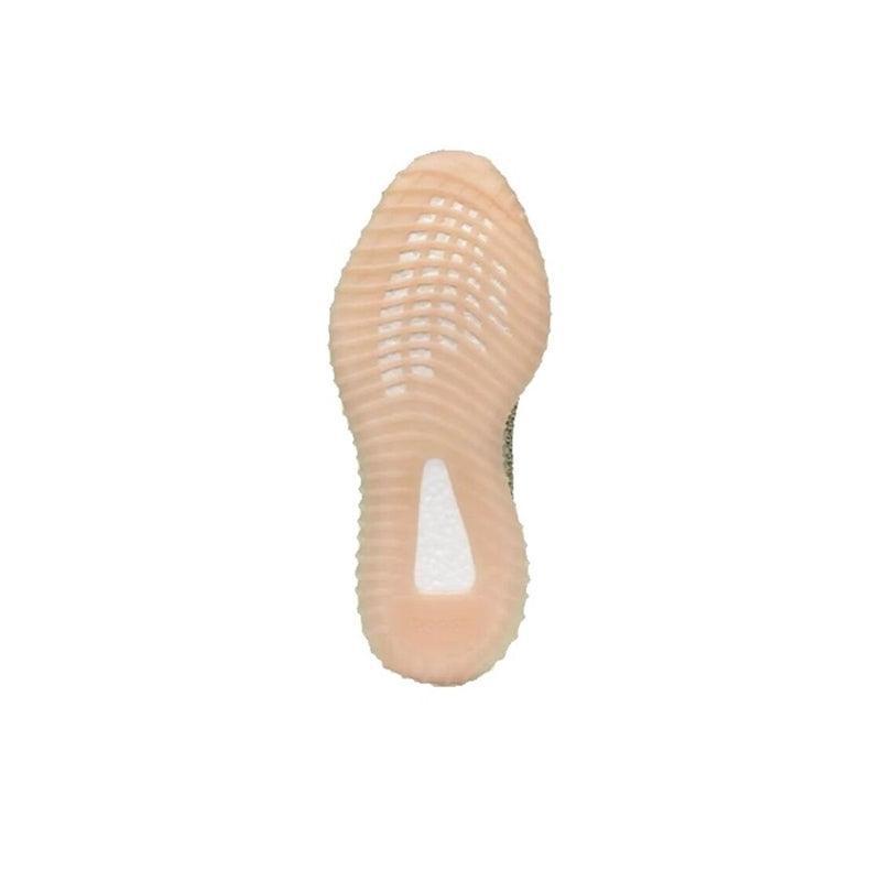 Yeezy Boost 350 V2 &