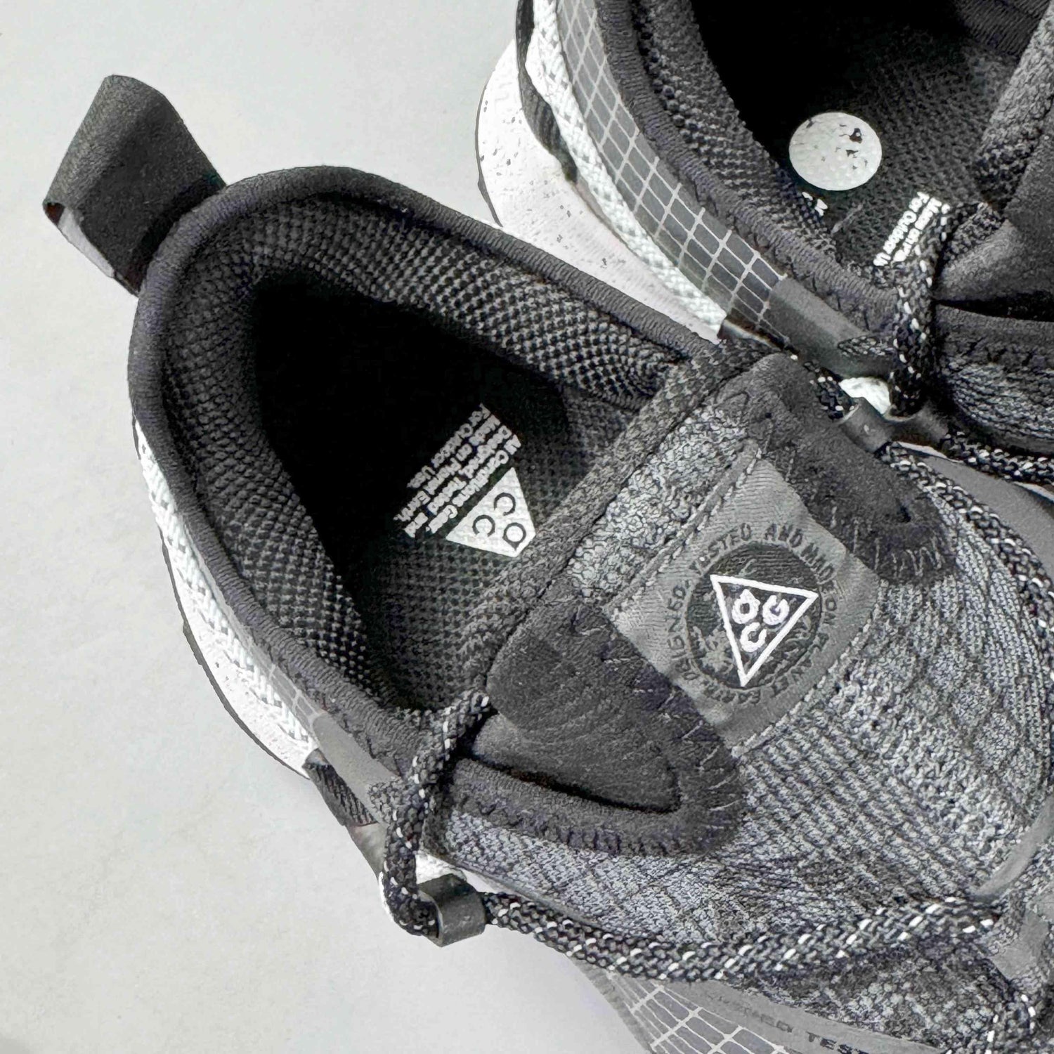 Nike ACG Mountain Fly Low Gore-Tex SE &