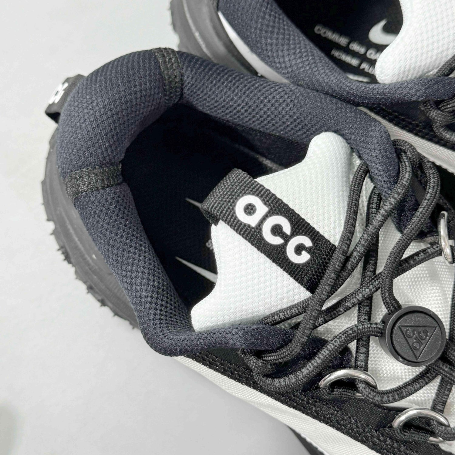 Nike ACG Mountain Fly 2 Low &
