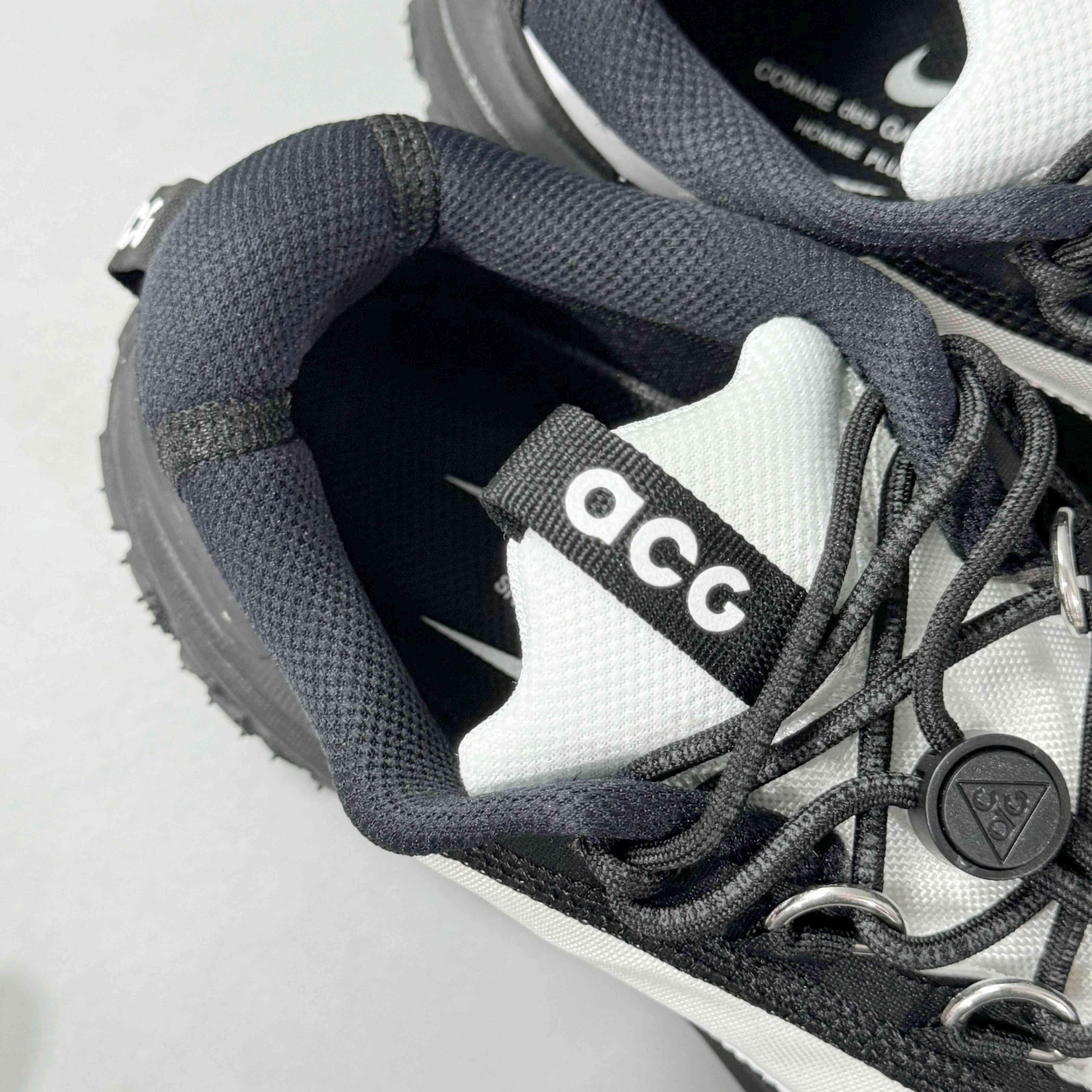 Nike ACG Mountain Fly 2 Low &