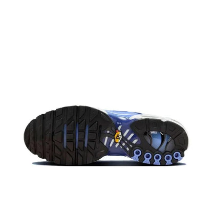 Nike Air Max Plus &