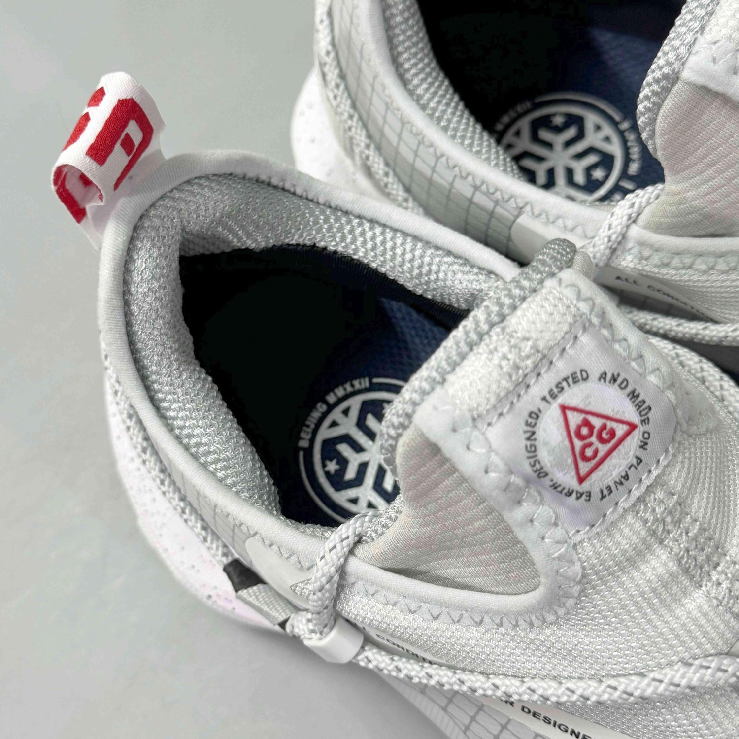 Nike ACG Mountain Fly Low Gore-Tex SE &