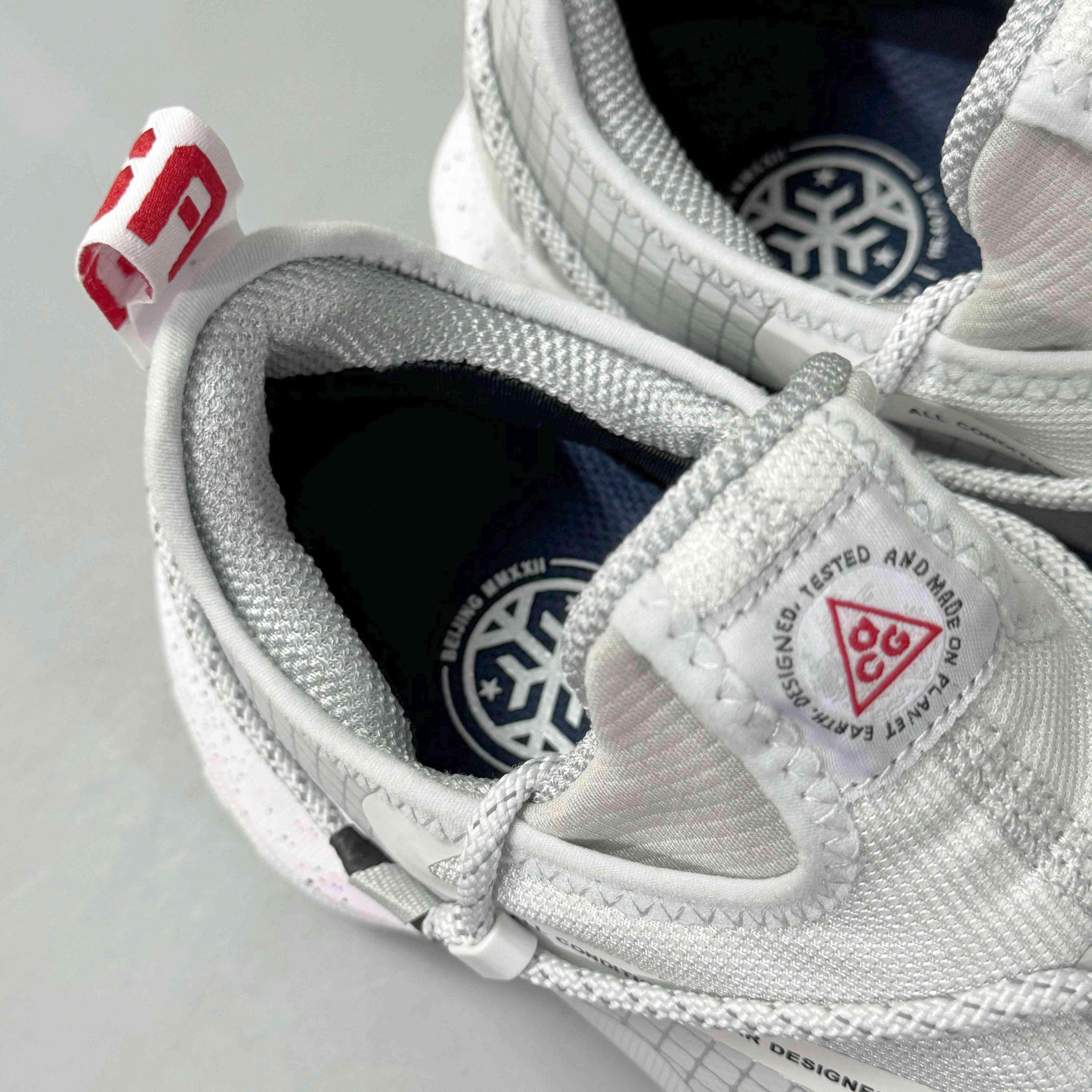 Nike ACG Mountain Fly Low Gore-Tex SE &