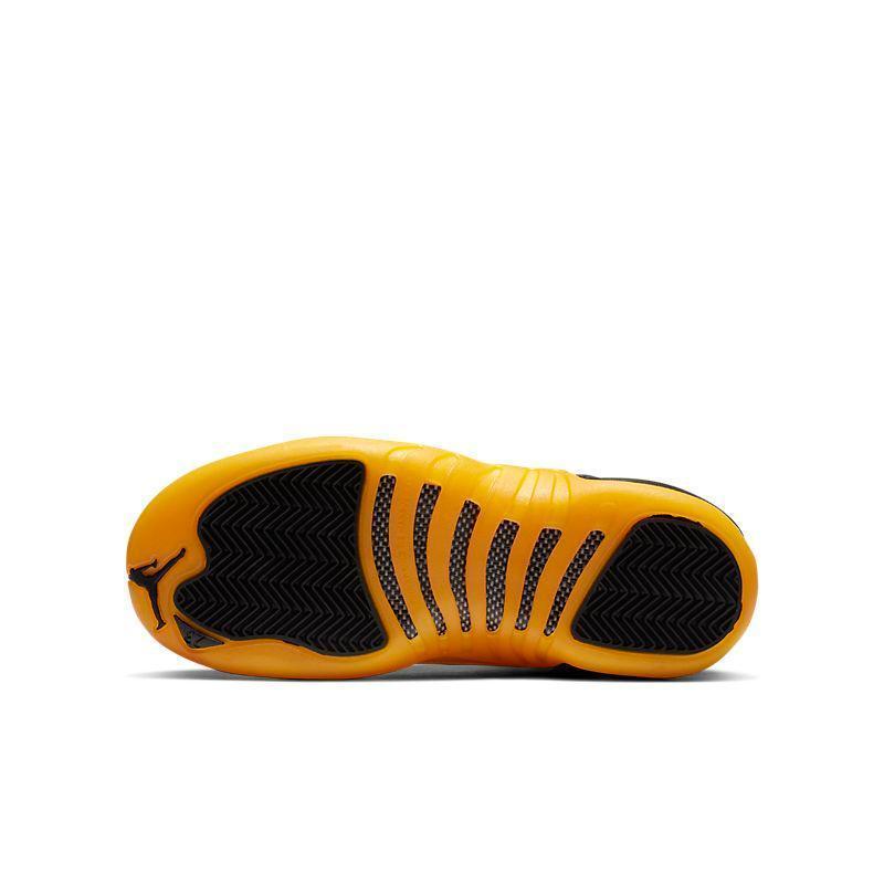 Air Jordan Retro 12 &