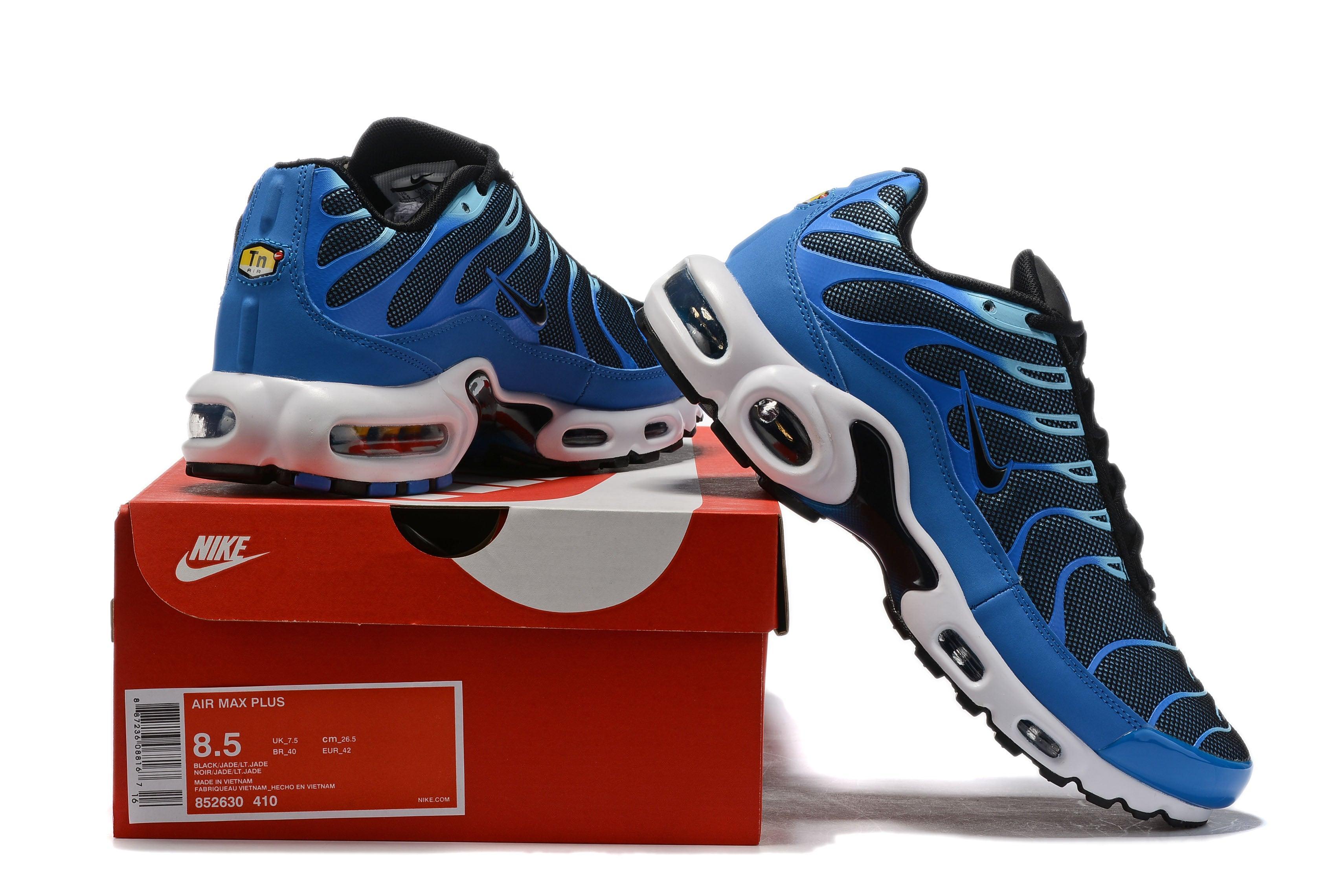 Nike Air Max Plus  &
