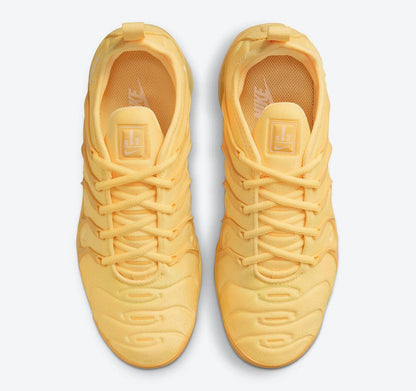 Nike Air VaporMax Plus &