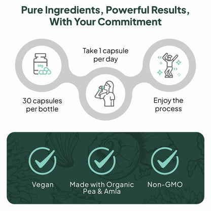 Ocean Methyl Folat - 30 Tablet Folic Acid Supplement