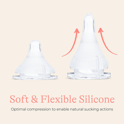 Lansinoh Natural Wave Baby Bottle Nipple Slow Flow 2 Pieces