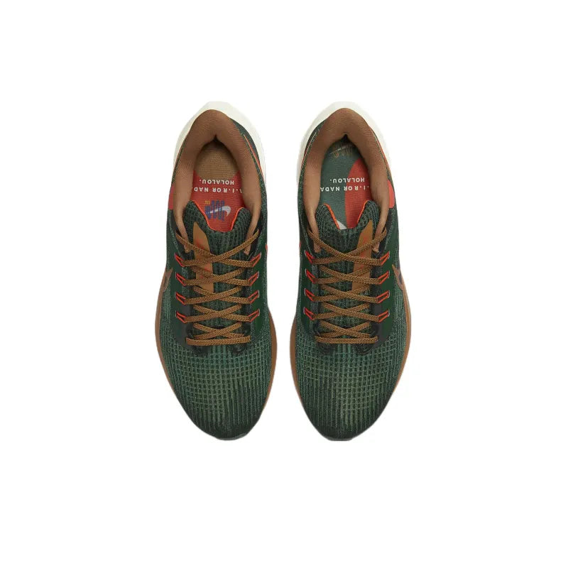 Nike Air Zoom Pegasus 39 A.I.R. Hola Lou