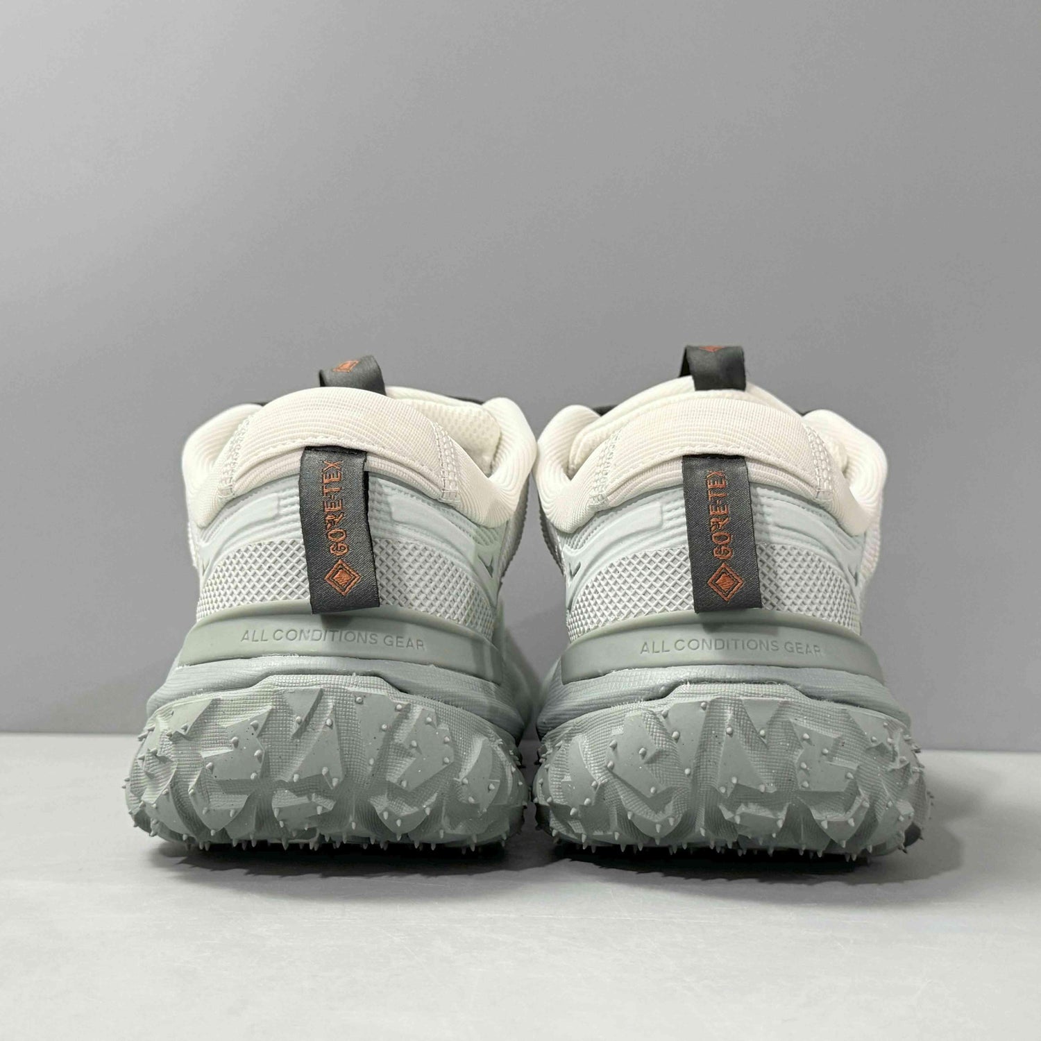 Nike ACG Mountain Fly 2 Low Gore-Tex &